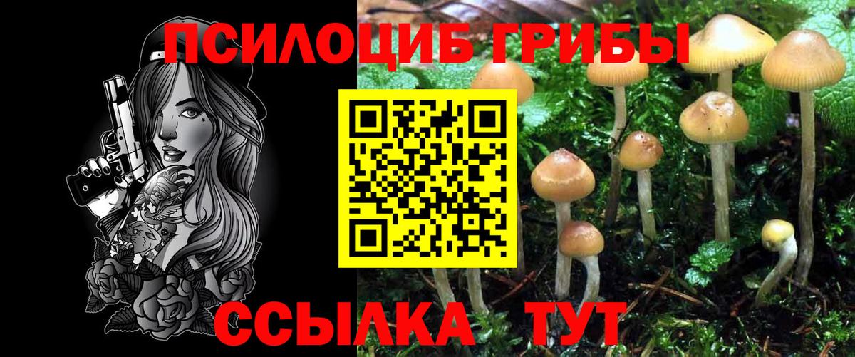 Орск  Псилоцибиновые грибы Psilocybine cubensis  купить  сайты  Вход с VPN 